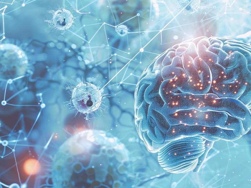 What Are the Signs and Treatment Options for Neurological Disorders ...
